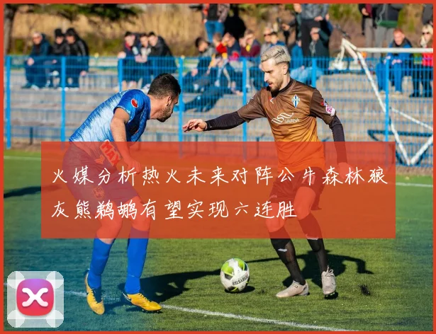 火媒分析热火未来对阵公牛森林狼灰熊鹈鹕有望实现六连胜