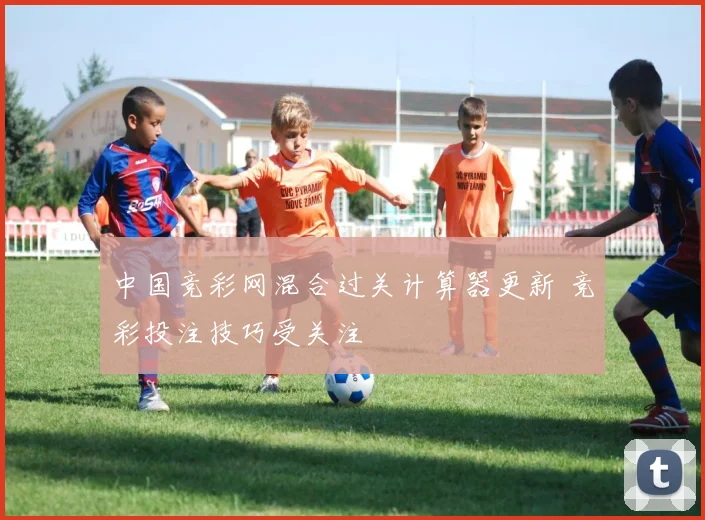 中国竞彩网混合过关计算器更新 竞彩投注技巧受关注