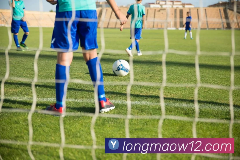 九游官网入口老版本APP 封面图