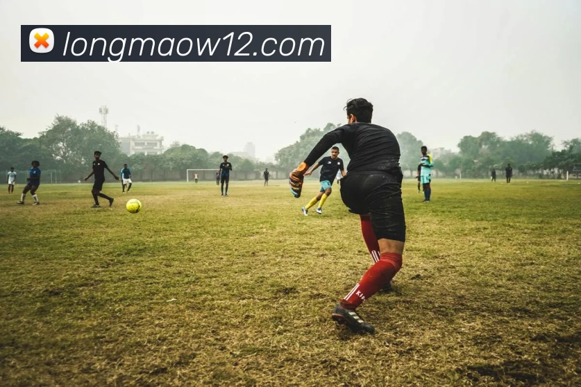 数据防护可视化